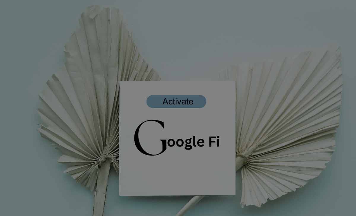  Activate Google Fi
