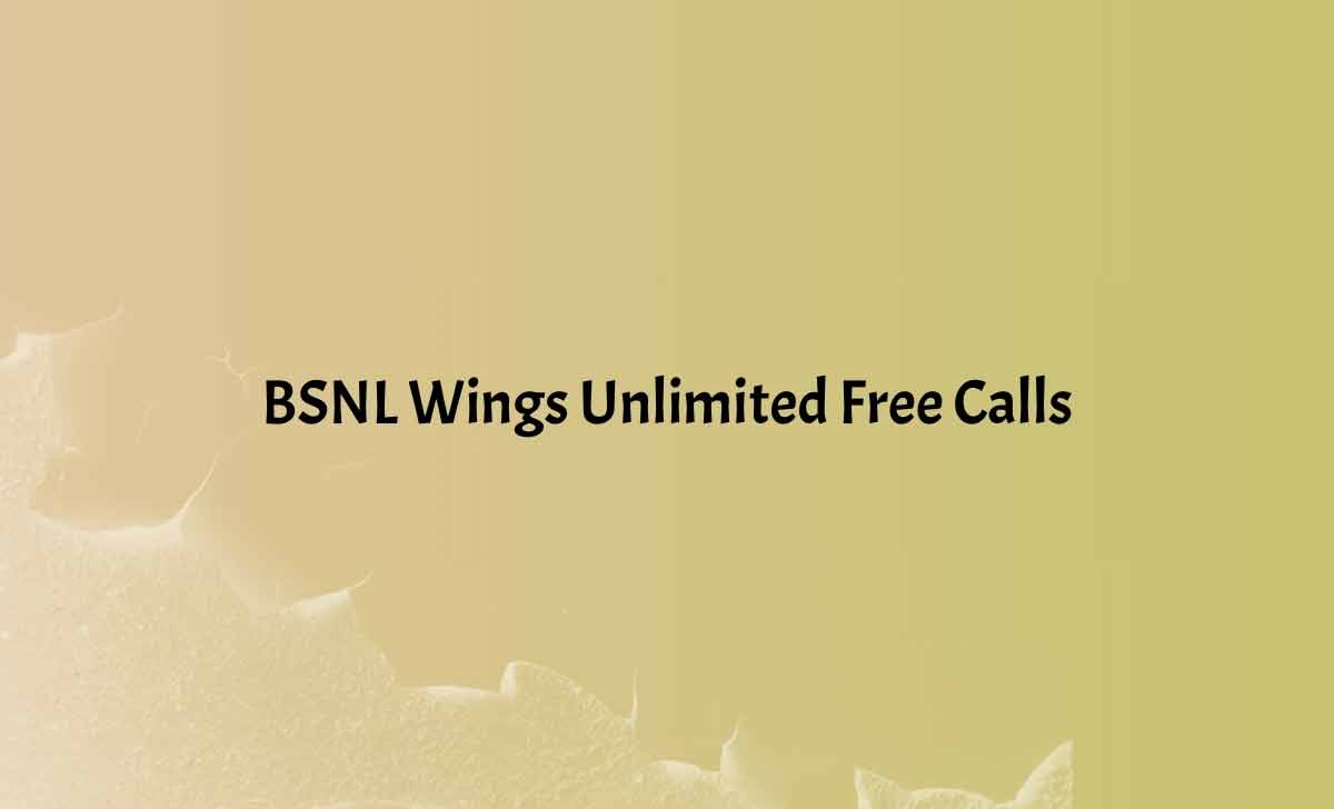 BSNL Wings Unlimited Free Calls