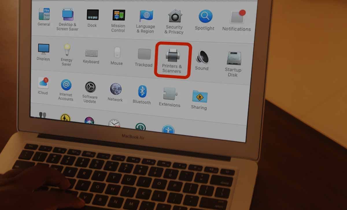 How to Scan a Document on MAC