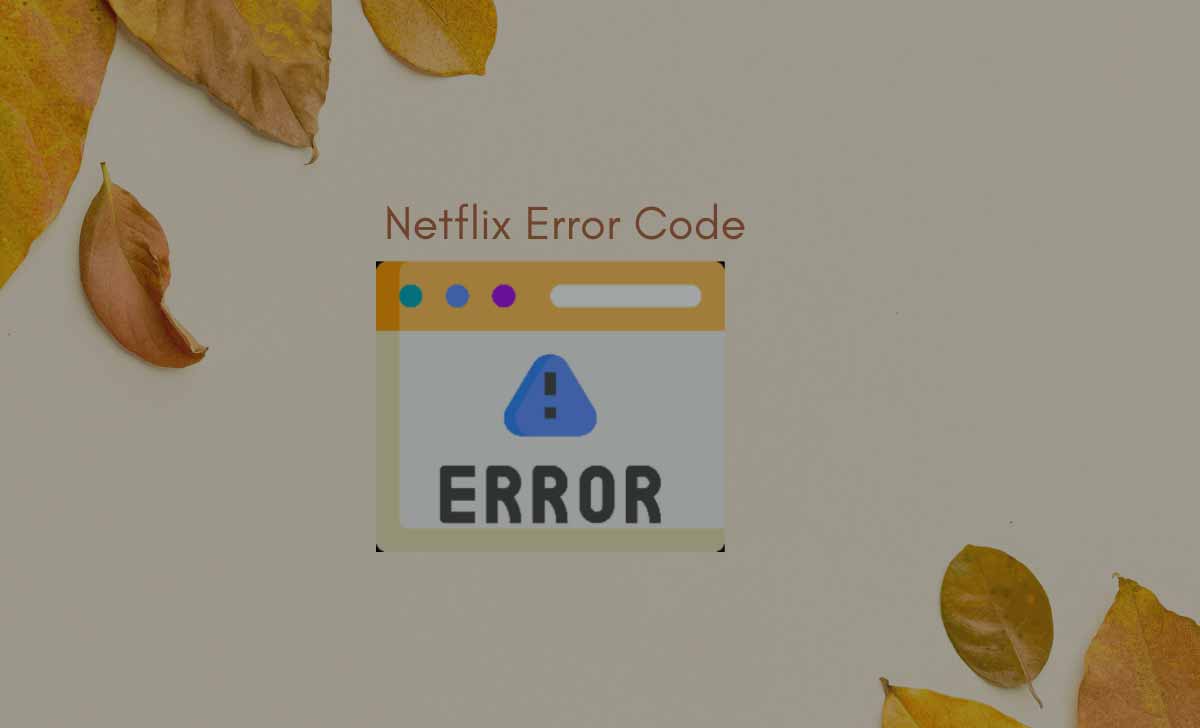 Netflix Error Code