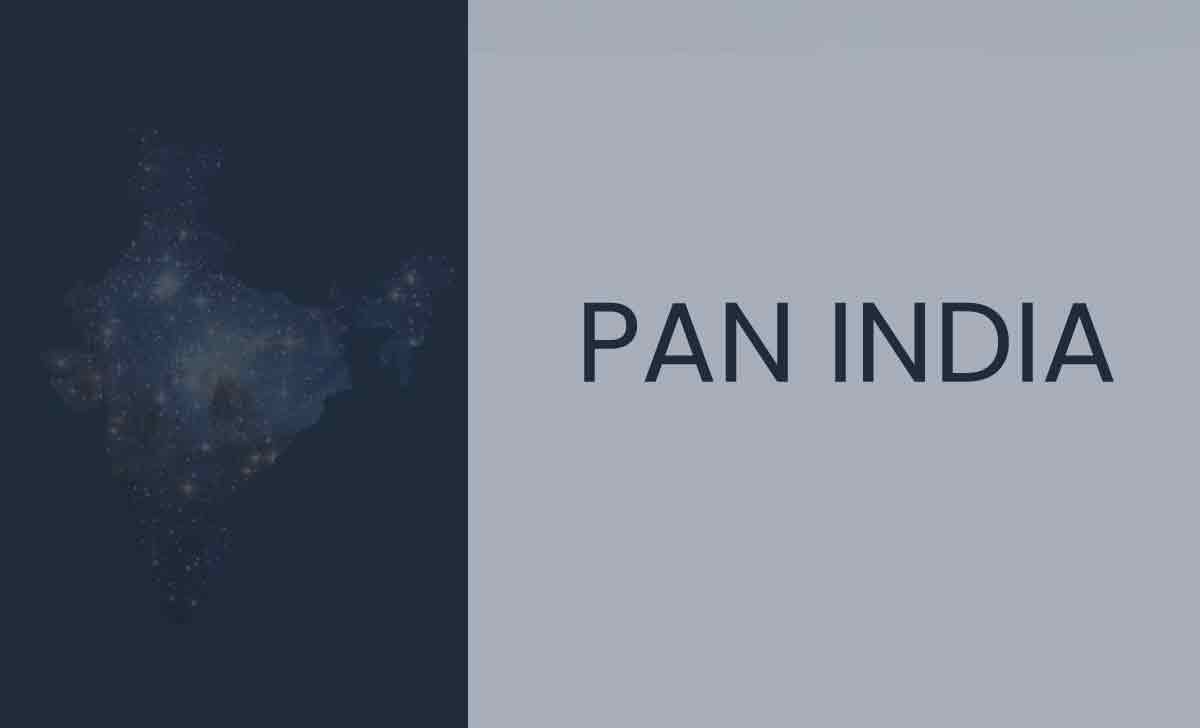 PAN India Meaning