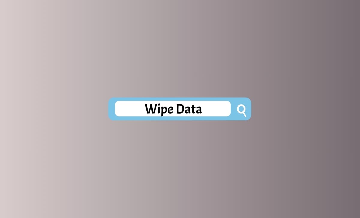 Wipe Data